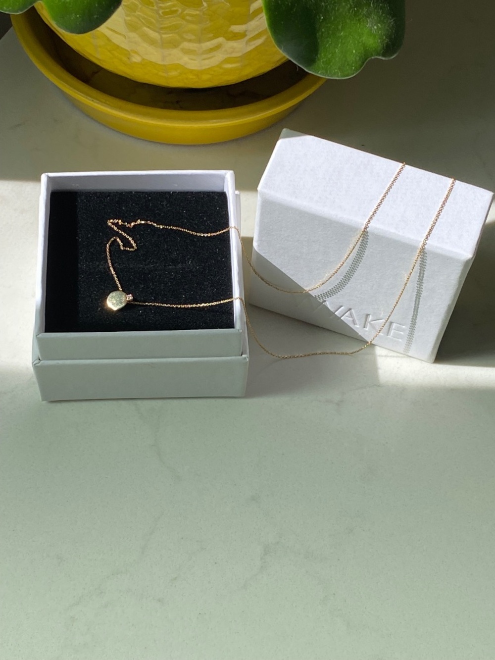 WWAKE 14k Small Diamond Disc Pendant Necklace